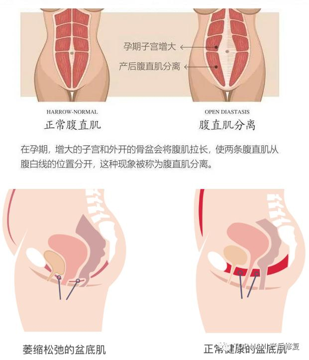未標題-5.jpg